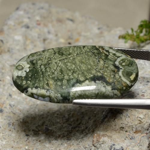 Jaspe Multicolore naturelle ovale, 29.99 ct, Opaque