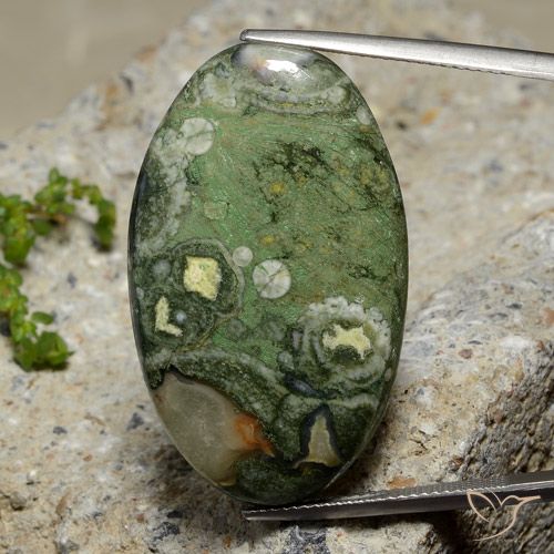 27.42ct Naturel Multicolore Jaspe, ovale, Opaque