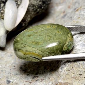 Jaspe Multicolore naturelle Coupe ovale, 11.38 ct, Opaque