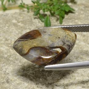 Jaspe Multicolore naturelle Trillion, 9.97 ct, Opaque