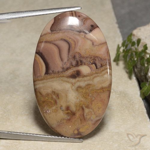 24.61ct Naturel Multicolore Jaspe, ovale, Opaque