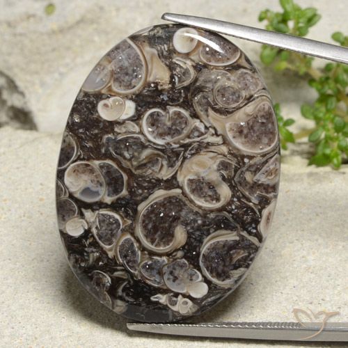 36.83ct Naturel Multicolore Jaspe, ovale, Opaque