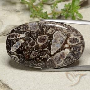 Jaspe Multicolore naturelle ovale, 43.97 ct, Opaque