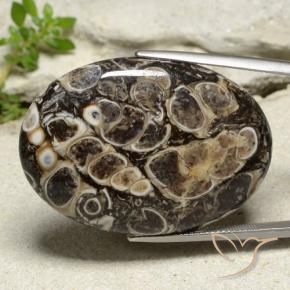 Jaspe Multicolore naturelle ovale, 52.46 ct, Opaque