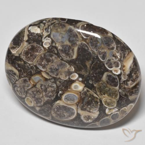 Jaspe Multicolore naturelle ovale, 52.92 ct, Opaque