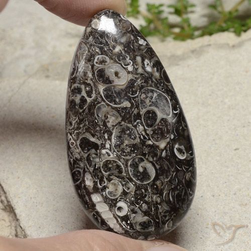 48.79ct Naturel Multicolore Jaspe, En forme de poire, Opaque