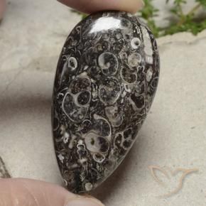 Jaspe Multicolore naturelle En forme de poire, 48.79 ct, Opaque