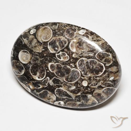 Jaspe Multicolore naturelle ovale, 45.70 ct, Opaque
