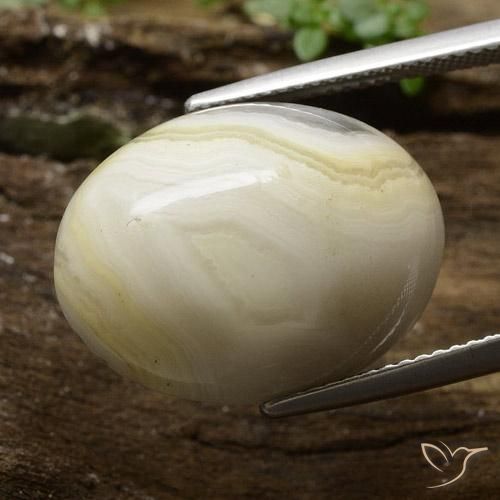 Jaspe Multicolore naturelle ovale, 16.43 ct, Opaque