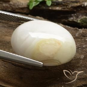 Jaspe Multicolore naturelle ovale, 15.66 ct, Opaque