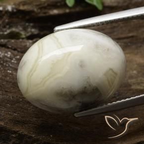 Jaspe Multicolore naturelle ovale, 17.21 ct, Opaque