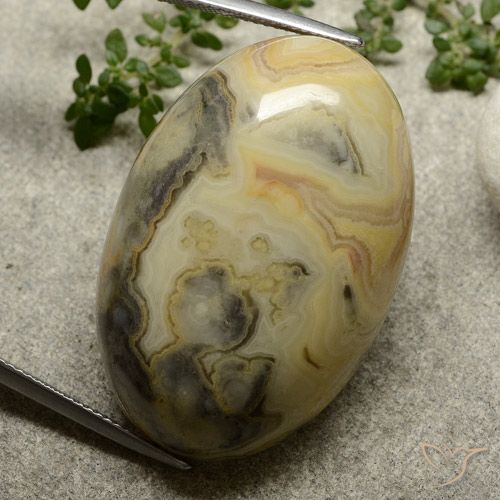 62.76ct Naturel Multicolore Jaspe, ovale, Opaque