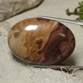 Jaspe Multicolore naturelle ovale, 33.44 ct, Opaque