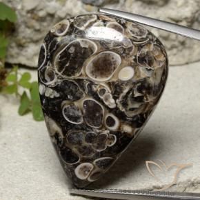 Jaspe Multicolore naturelle En forme de poire, 39.20 ct, Opaque