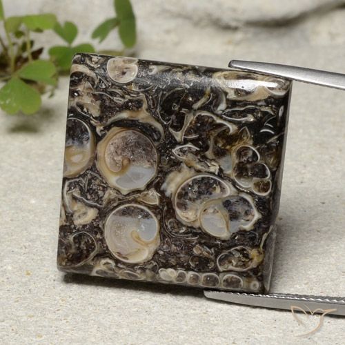 Jaspe Multicolore naturelle Carré, 30.08 ct, Opaque
