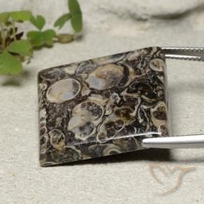 Jaspe Multicolore naturelle Carré, 30.08 ct, Opaque