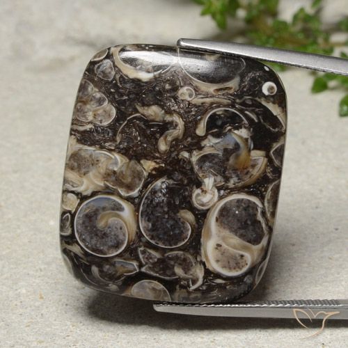 33.41ct Naturel Multicolore Jaspe, Coussin, Opaque