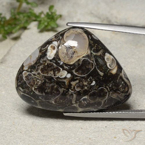 31.57ct Naturel Multicolore Jaspe, En forme de poire, Opaque