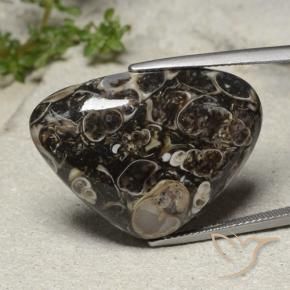 Jaspe Multicolore naturelle En forme de poire, 31.57 ct, Opaque