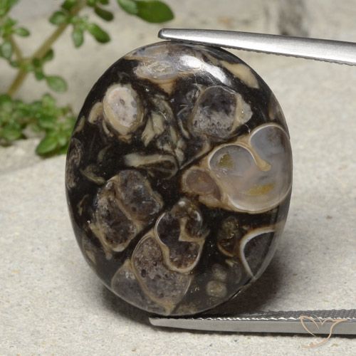 21.18ct Naturel Multicolore Jaspe, ovale, Opaque
