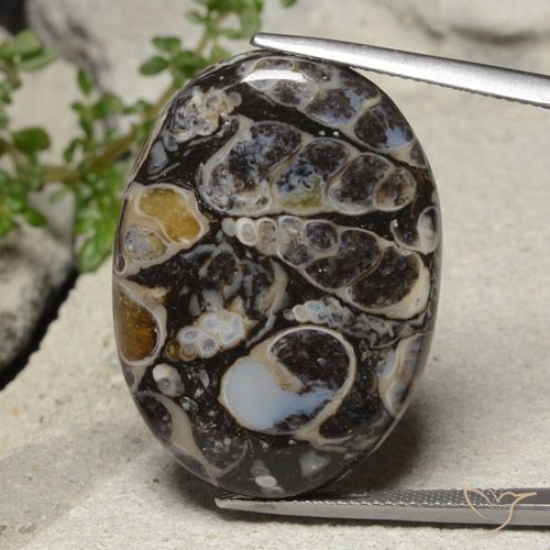 31.02ct Naturel Multicolore Jaspe, ovale, Opaque