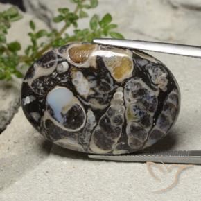 Jaspe Multicolore naturelle ovale, 31.02 ct, Opaque