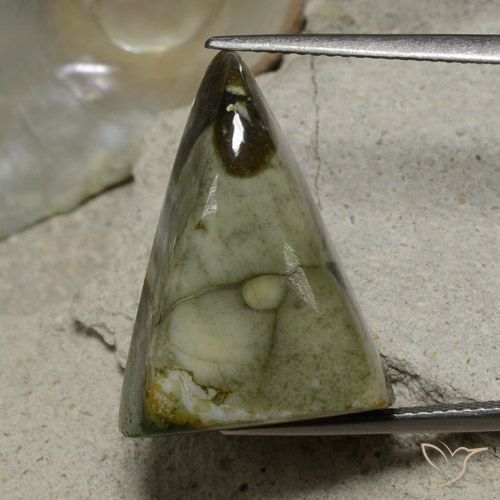 17.87ct Naturel Multicolore Jaspe, Trillion, Opaque