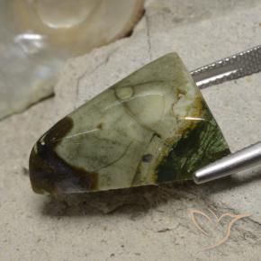 Jaspe Multicolore naturelle Trillion, 17.87 ct, Opaque