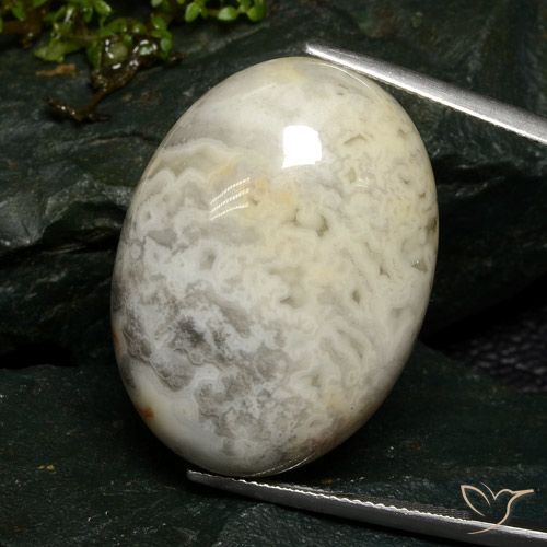 46.37ct Naturel Multicolore Jaspe, ovale, Opaque