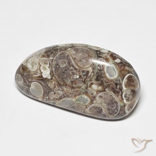 Jaspe Multicolore naturelle Fantaisie, 20.68 ct, Opaque
