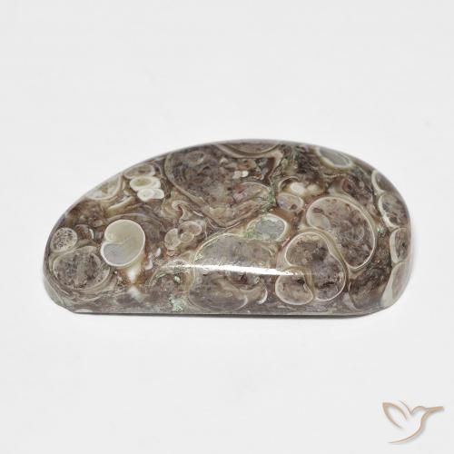 Jaspe Multicolore naturelle Fantaisie, 20.68 ct, Opaque