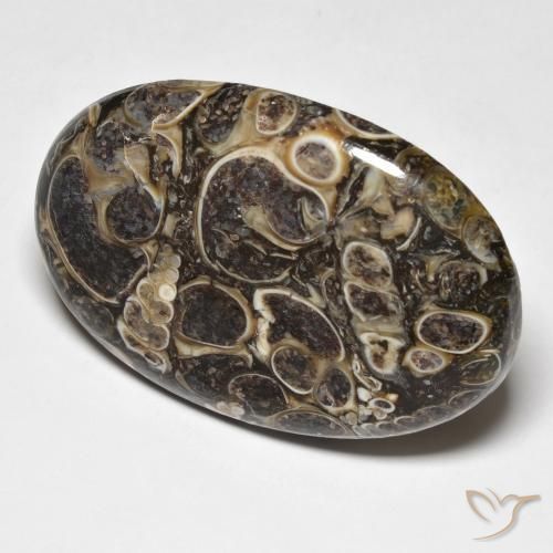 Jaspe Multicolore naturelle ovale, 37.39 ct, Opaque
