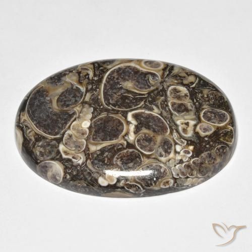 Jaspe Multicolore naturelle ovale, 37.39 ct, Opaque