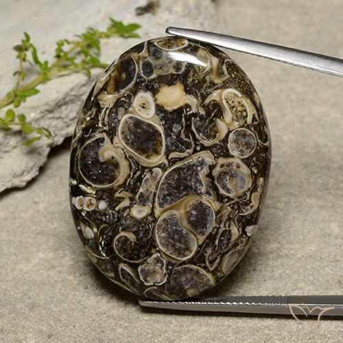 40.36ct Naturel Multicolore Jaspe, ovale, Opaque
