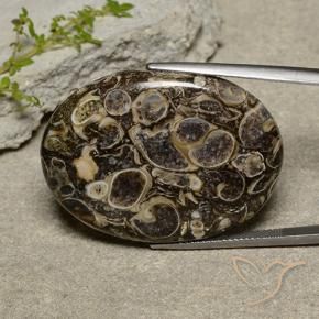 Jaspe Multicolore naturelle ovale, 40.36 ct, Opaque