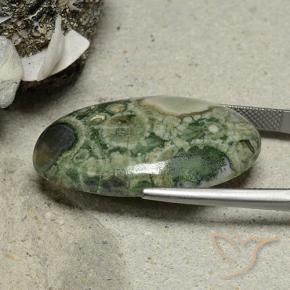 Jaspe Multicolore naturelle ovale, 25.95 ct, Opaque