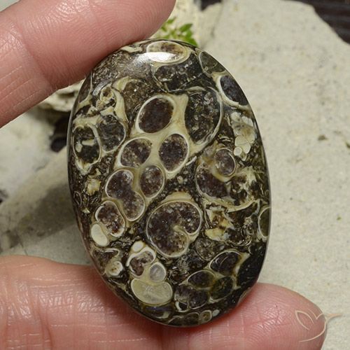 71.95ct Naturel Multicolore Jaspe, ovale, Opaque