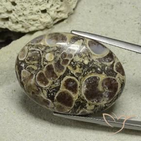 Jaspe Multicolore naturelle ovale, 40.61 ct, Opaque