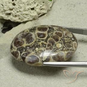 Jaspe Multicolore naturelle ovale, 40.61 ct, Opaque