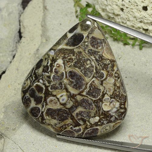Jaspe Multicolore naturelle En forme de poire, 46.19 ct, Opaque
