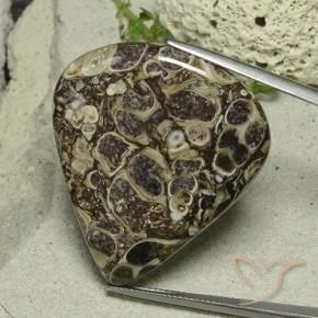 Jaspe Multicolore naturelle En forme de poire, 46.19 ct, Opaque