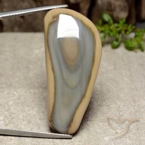 Jaspe Multicolore naturelle Fantaisie, 29.35 ct, Opaque
