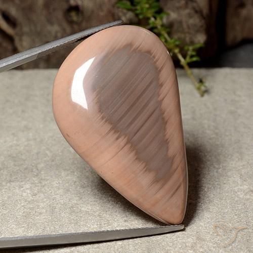 Jaspe Multicolore naturelle Fantaisie, 52.12 ct, Opaque