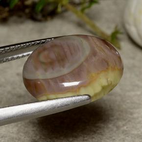 Jaspe Multicolore naturelle Coupe ovale, 5.51 ct, Opaque