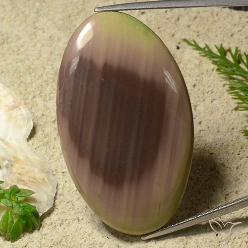 50.81ct Naturel Multicolore Jaspe, ovale, Opaque