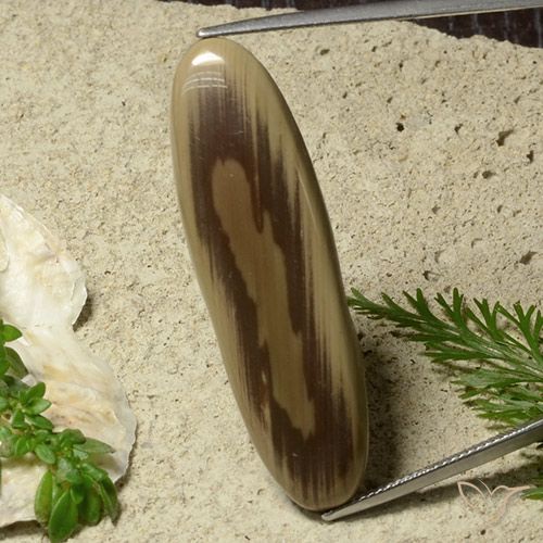 26.40ct Naturel Multicolore Jaspe, ovale, Opaque