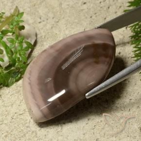 Jaspe Multicolore naturelle Fantaisie, 55.75 ct, Opaque