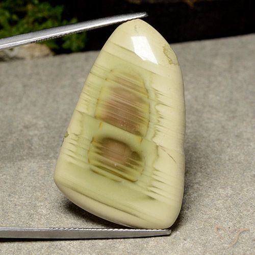 31.54ct Naturel Multicolore Jaspe, Fantaisie, Opaque