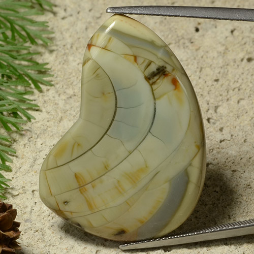 Jaspe Multicolore naturelle Forme fantaisie, 25.50 ct, Opaque