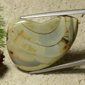 Jaspe Multicolore naturelle Forme fantaisie, 25.50 ct, Opaque